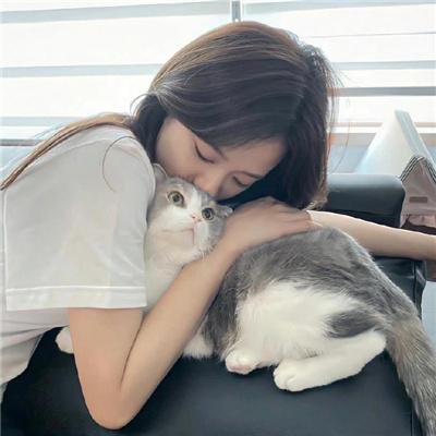 黑社会的墓场:腐朽之花
